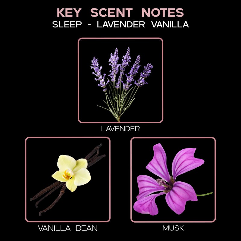 LOVSPA Reed Diffuser Set, Sleep Lavender Vanilla Scented Oil Diffuser with Sticks, Home Fragrance Accessories for Bathroom Shelf Decor, Aroma Diffusers for Home or Office Desk, USA Made - Image 3
